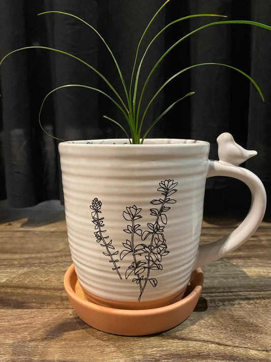 BLOOM & GROW Stoneware Planter with ponytail palm